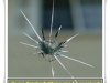 Car windscreen and car glass repair and replacement