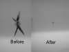 London automotive chip and crack windscreen repair