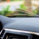 All You Need to Know About Windscreen Coverage
